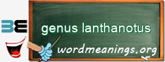 WordMeaning blackboard for genus lanthanotus